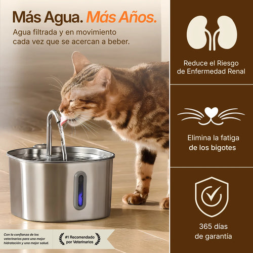 Fuente acero inoxidable de 2,2L