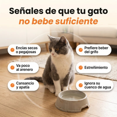 Fuente acero inoxidable de 2,2L