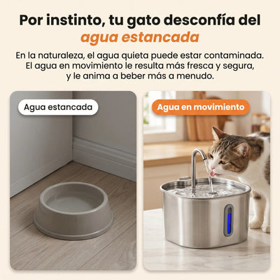 Fuente acero inoxidable de 2,2L