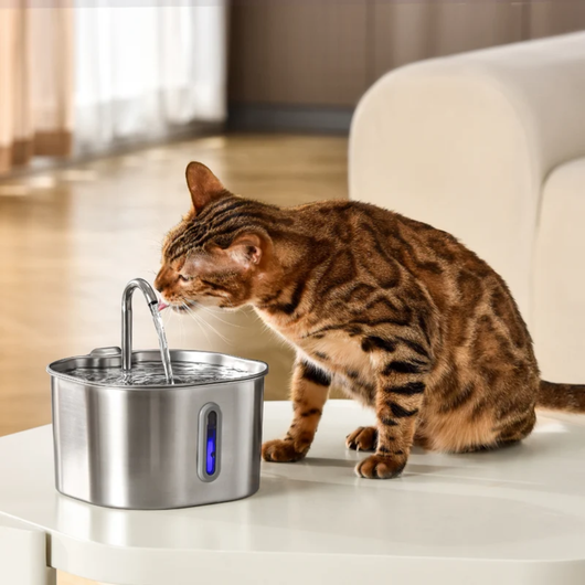 Fuente acero inoxidable de 2,2L