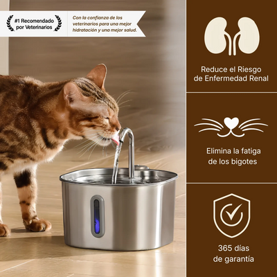 Fuente acero inoxidable de 2,2L