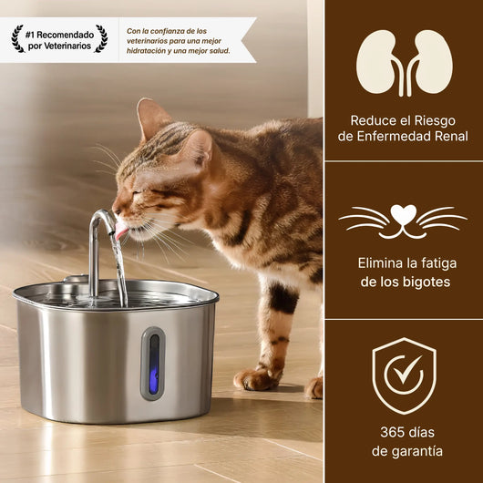 Fuente acero inoxidable de 2,2L