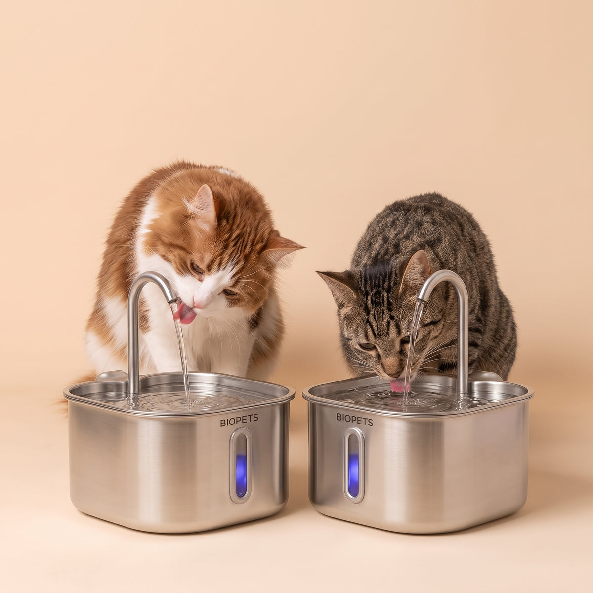 Dos gatos bebiendo de la fuente BioPets de acero inoxidable