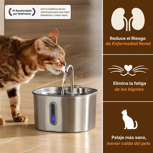 Fuente acero inoxidable de 2,2L