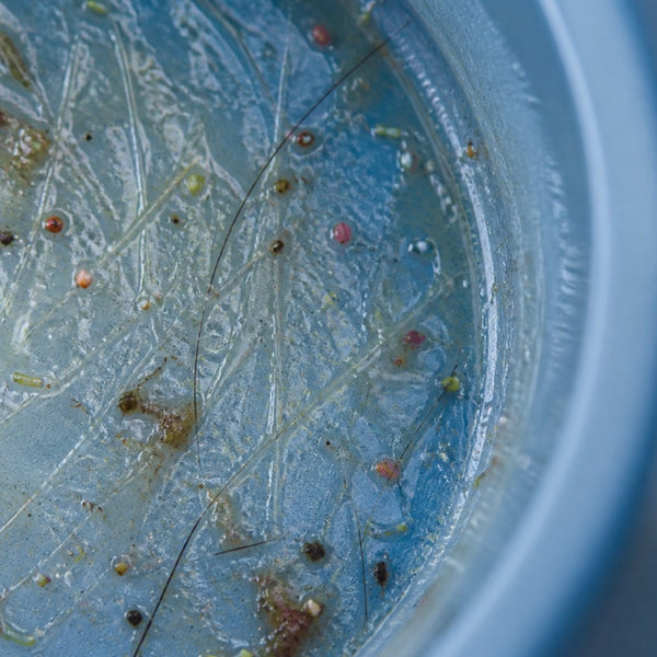 Residuos en el agua estancada vistos de cerca